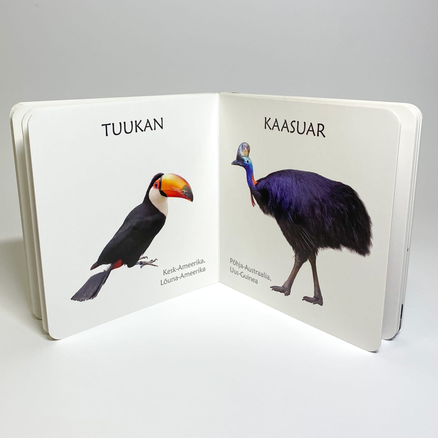 Eksootilistest lindudes realistlike piltidega raamat