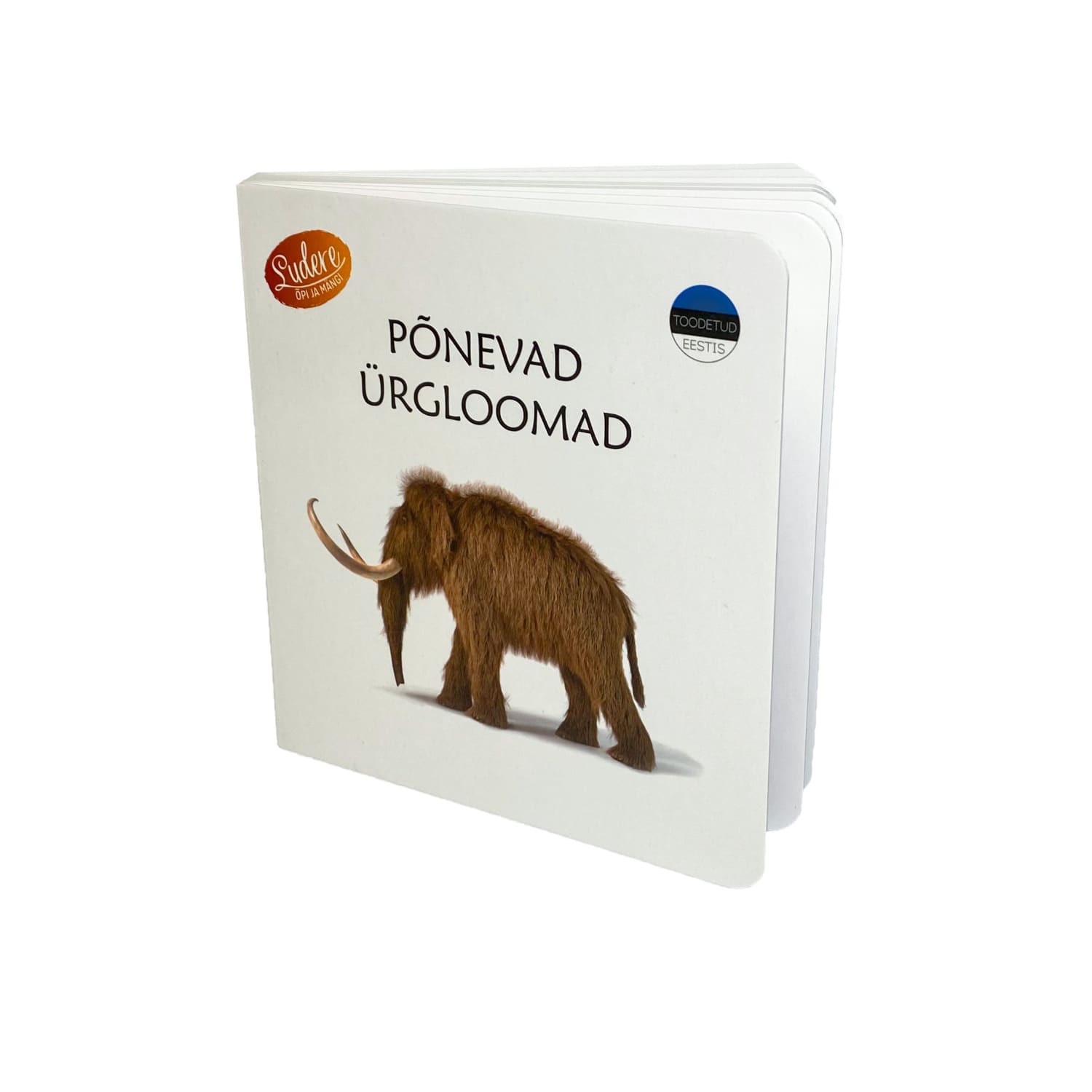 ürgloomadest realistlik raamat