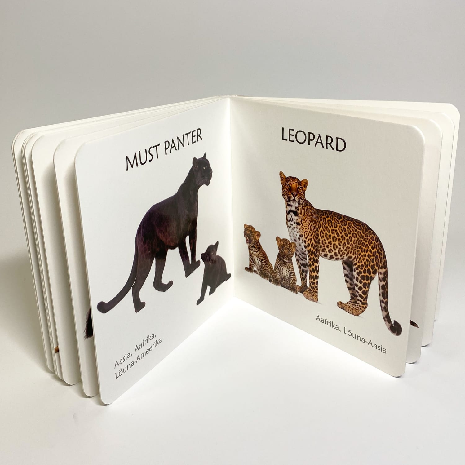 Eksootliste loomade fotodega realistlik raamat