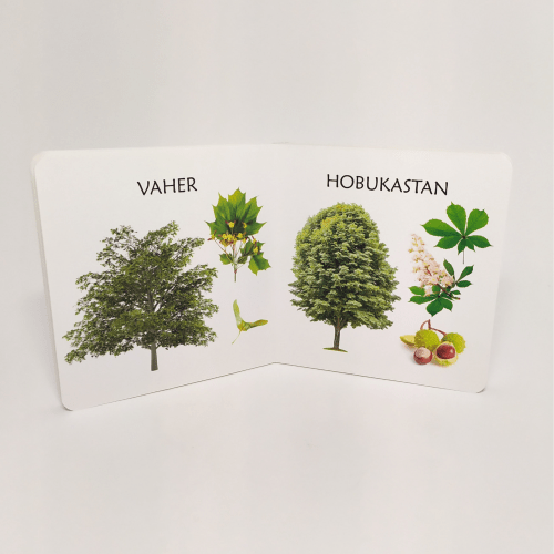 realistliku sisuga raamatud lastele