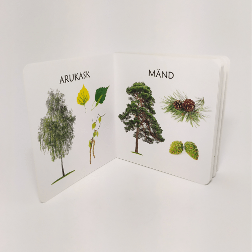 realistliku sisuga raamatud lastele