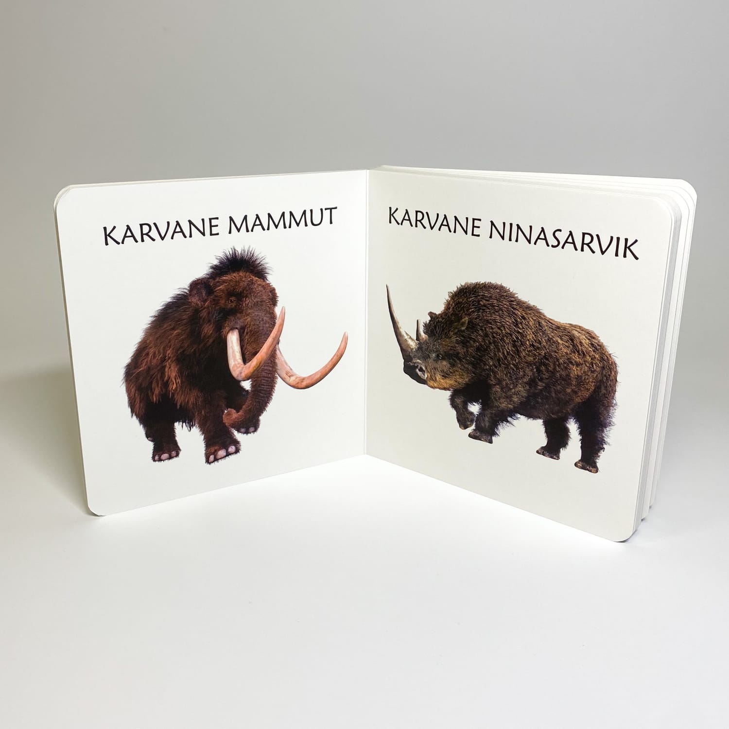 ürgloomadest realistlik raamat