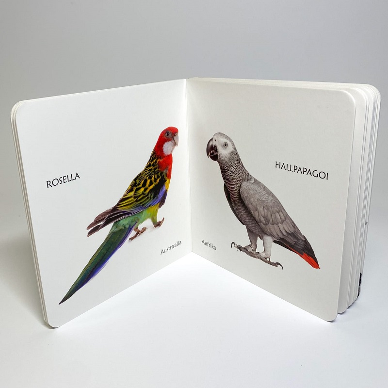 Eksootilistest lindudes realistlike piltidega raamat