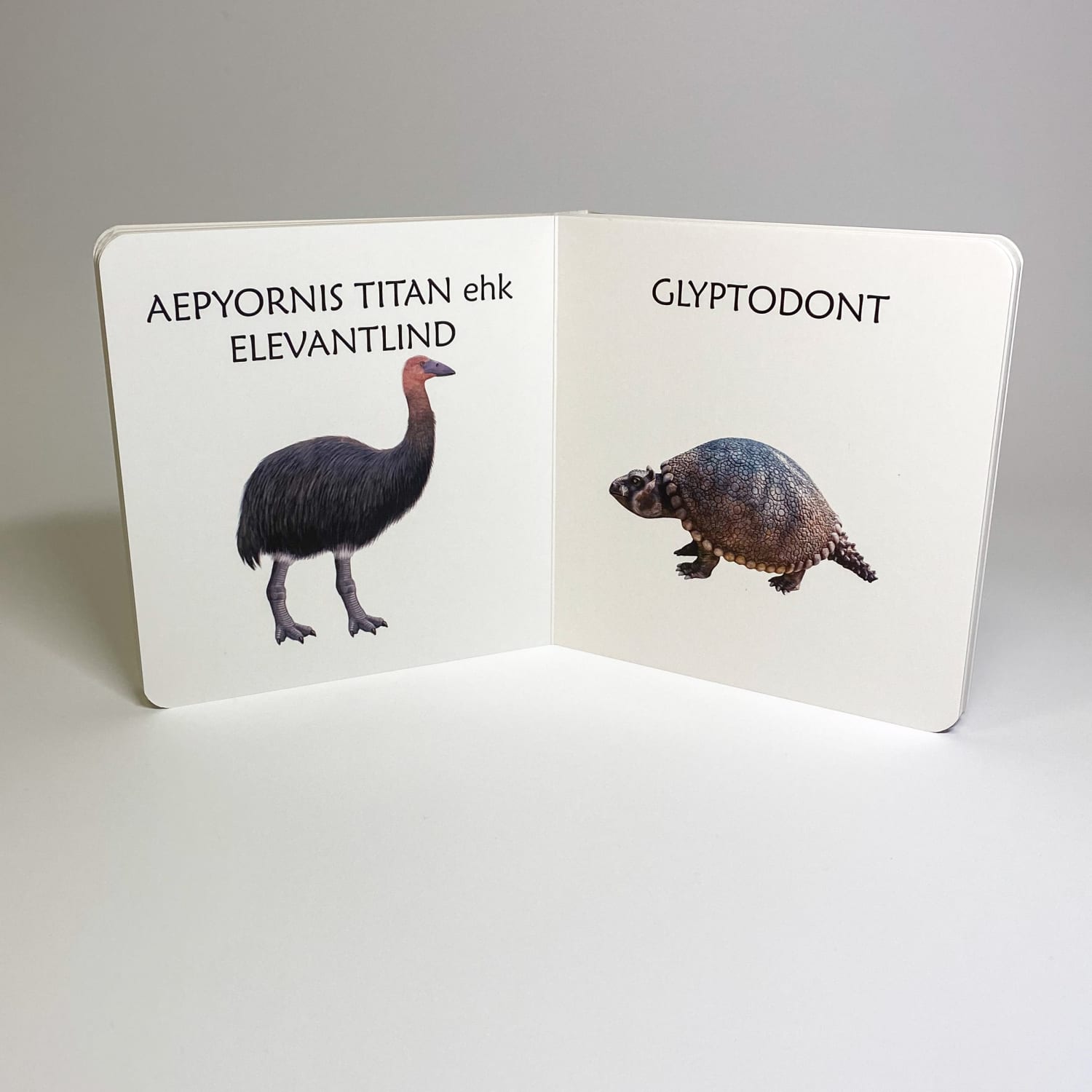 ürgloomadest realistlik raamat