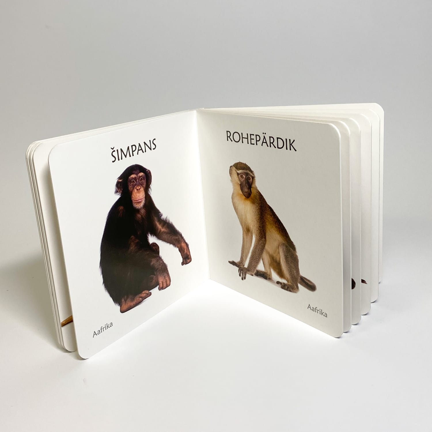 Eksootliste loomade fotodega realistlik raamat