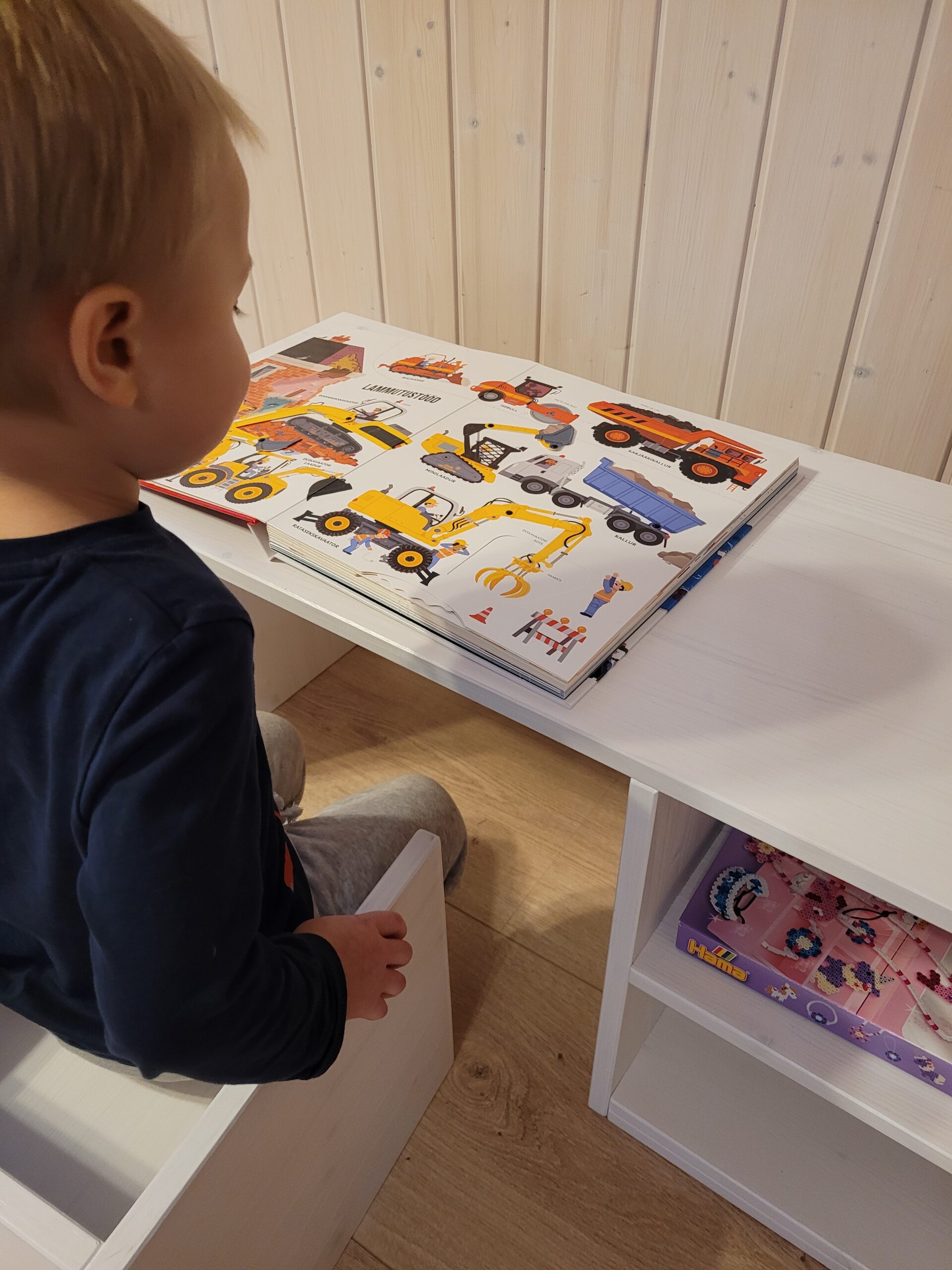 Puidust laud lastele (5)