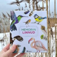 realistlik lindude memoriin lauamäng lastele linnuraamat mis lind on