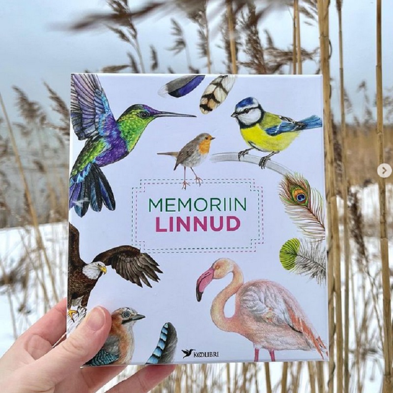 realistlik lindude memoriin lauamäng lastele linnuraamat mis lind on