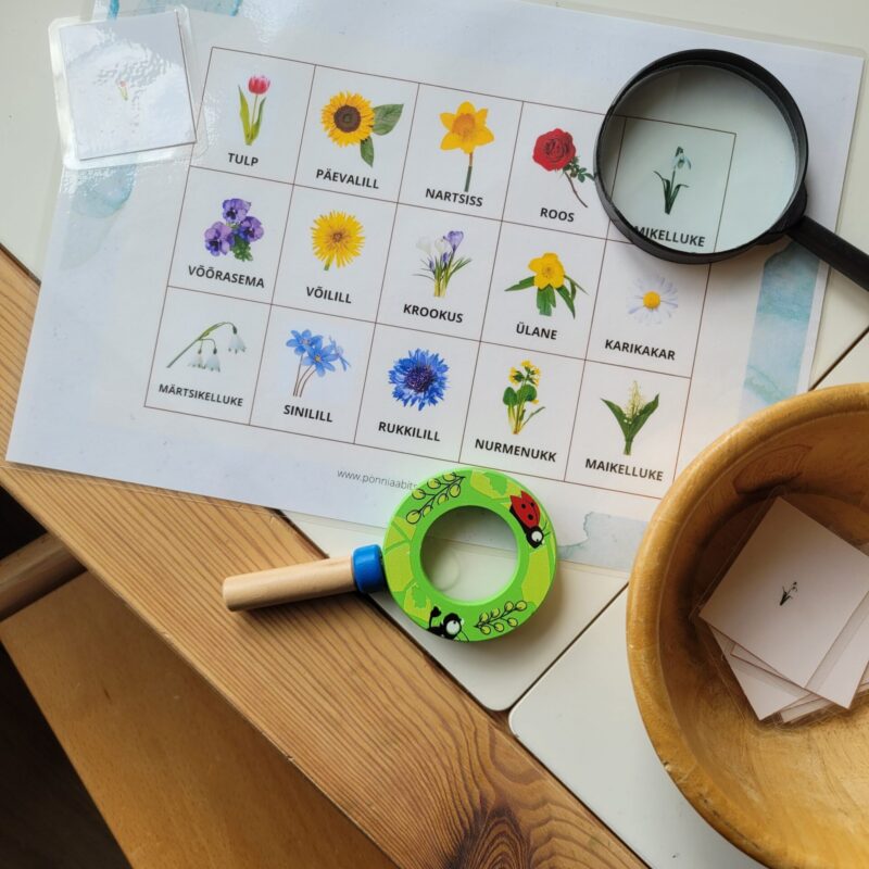 Puidust luup (suurendusklaas)