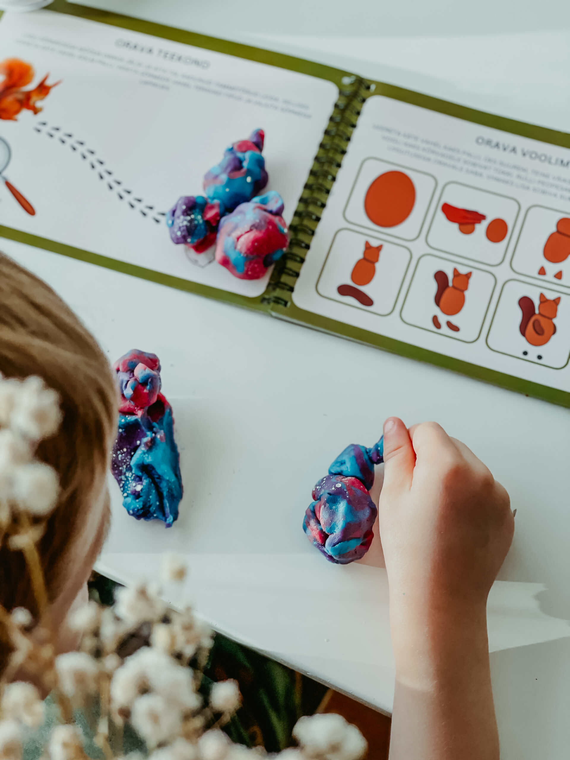 voolimisvihik plastiliinivihik Eesti loodus Lapse heaks Põnni Aabits Milda