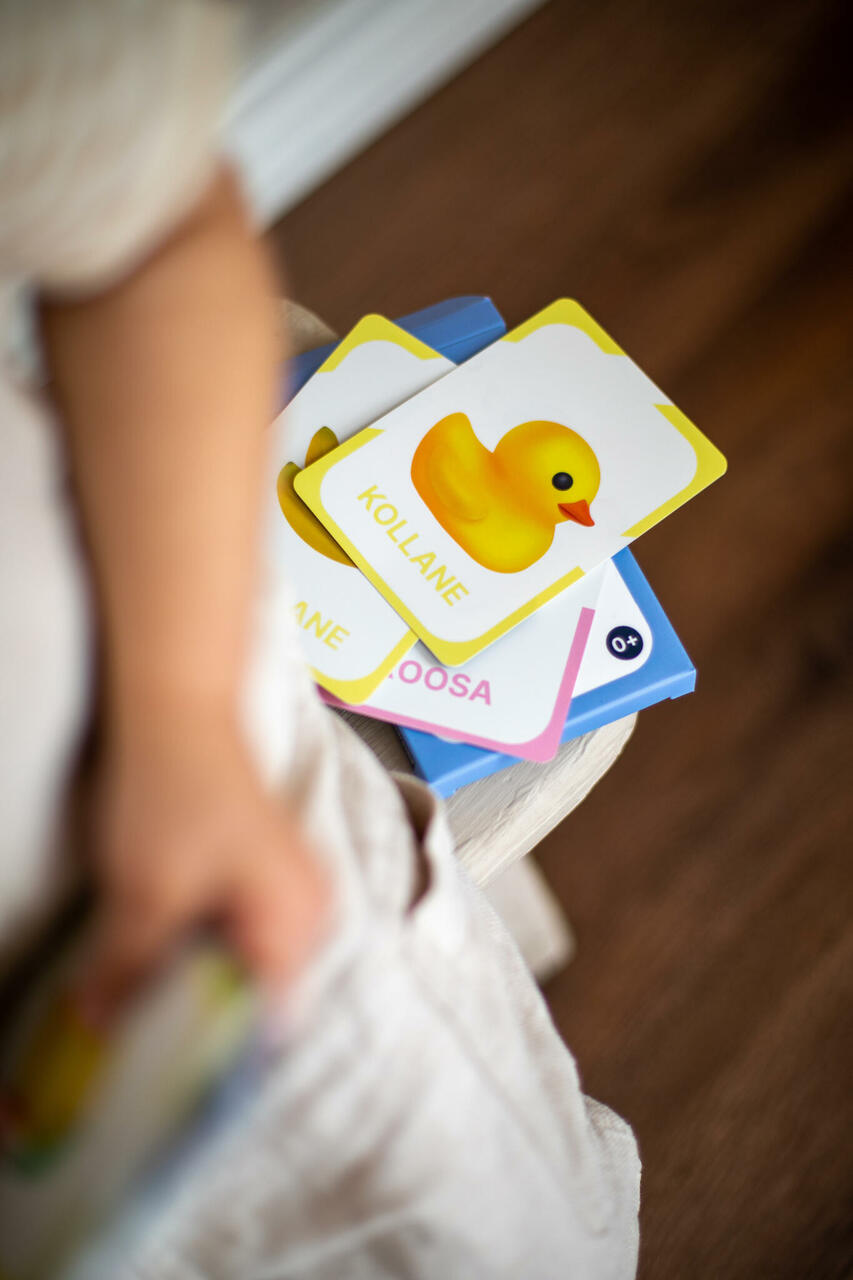 õppekaardid värvid kontrastid beebidele arendav tegevus