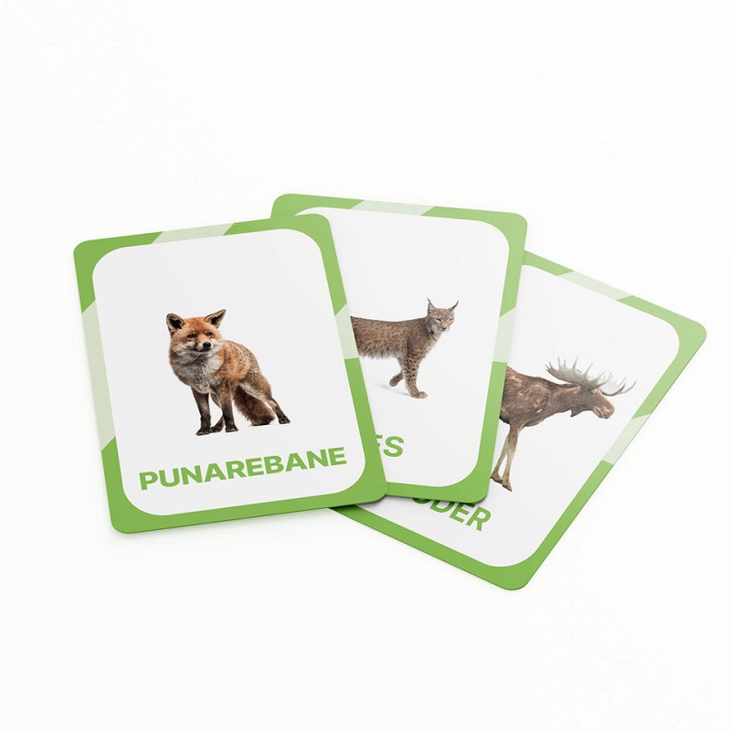 õppekaardid eesti metsloomad loomakaardid