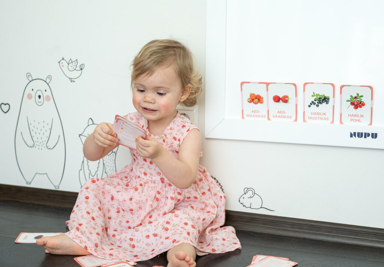 õppekaardid Eesti marjad puuviljad loodusõpe realistlikud pildid tegevuskaardid