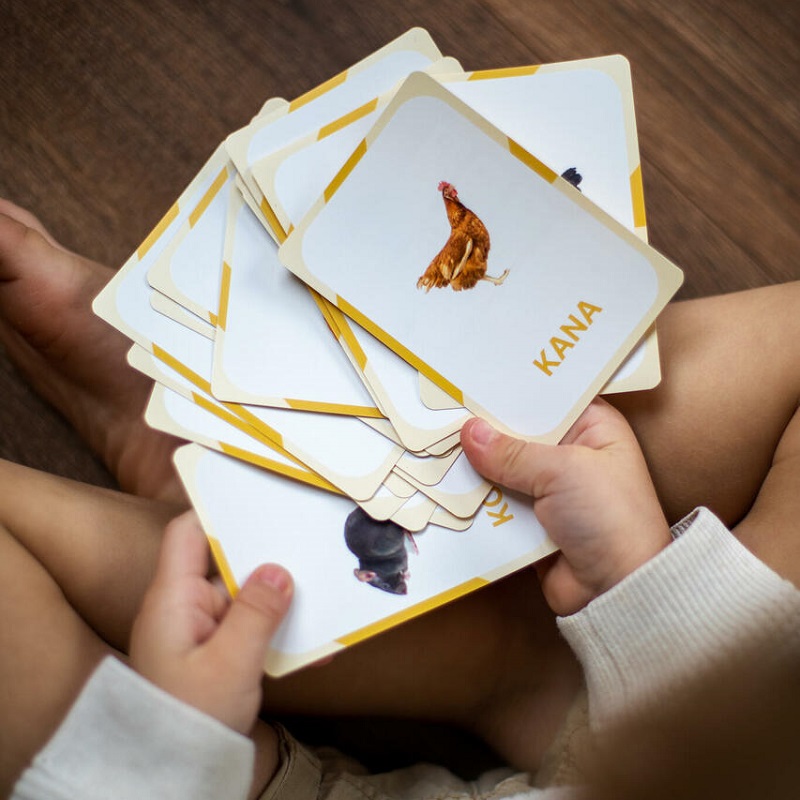 õppekaardid taluloomad koduloomad loodus loomad tegevuskaardid realistlikud