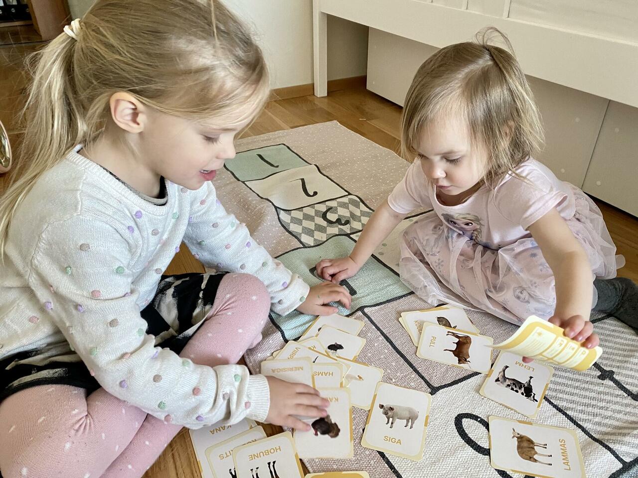 õppekaardid taluloomad koduloomad loodus loomad tegevuskaardid realistlikud õppekaardid taluloomad koduloomad loodus loomad tegevuskaardid realistlikud