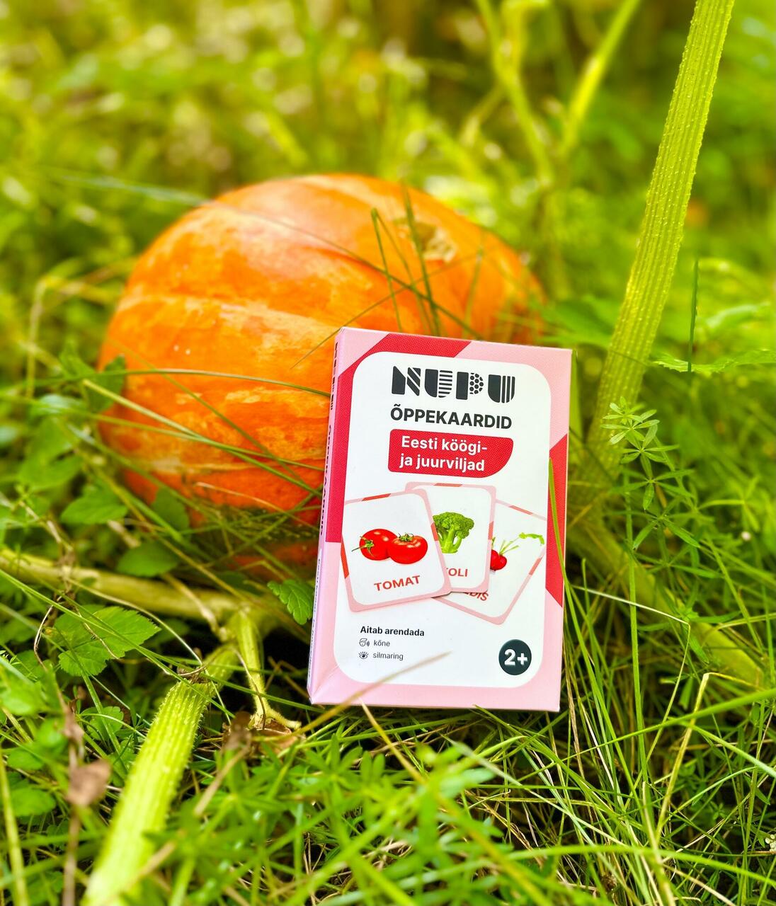 õppekaardid Eesti köögiviljad juurviljad realistlikud pildid