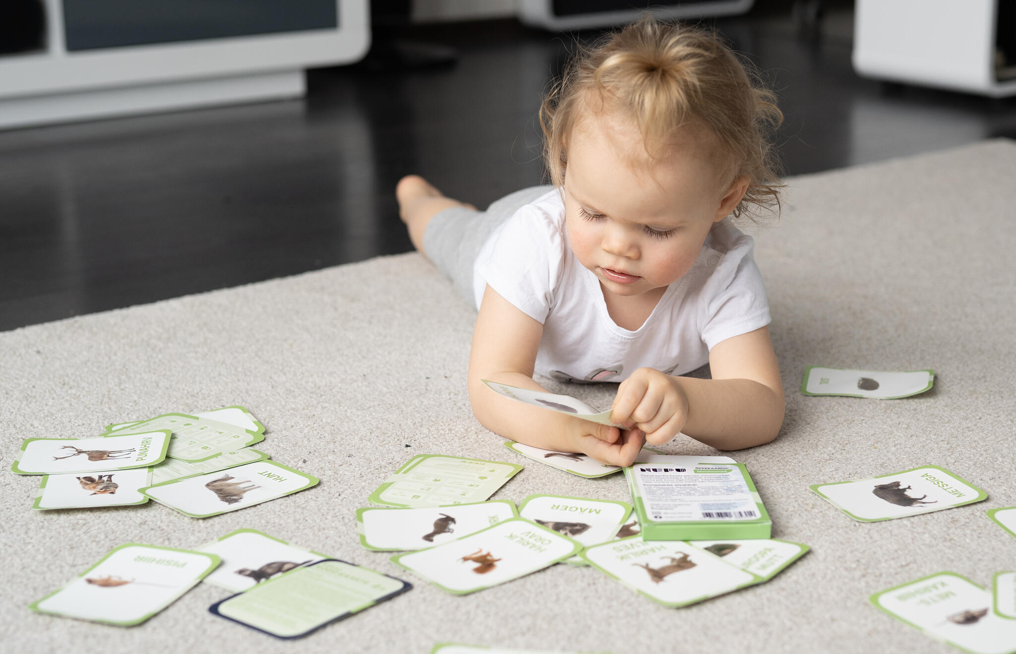 õppekaardid eesti metsloomad loomakaardid