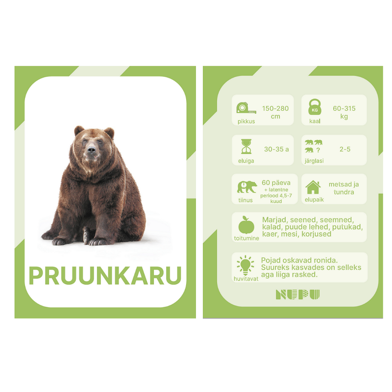 õppekaardid eesti metsloomad loomakaardid