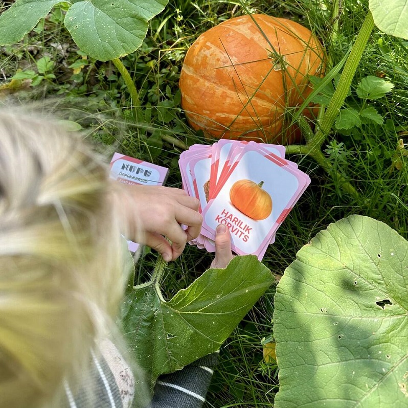 õppekaardid Eesti köögiviljad juurviljad realistlikud pildid