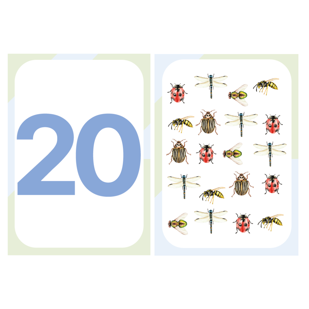 õppekaardid numbrikaardid arvutamine matemaatika loendamine tegevuskaardid