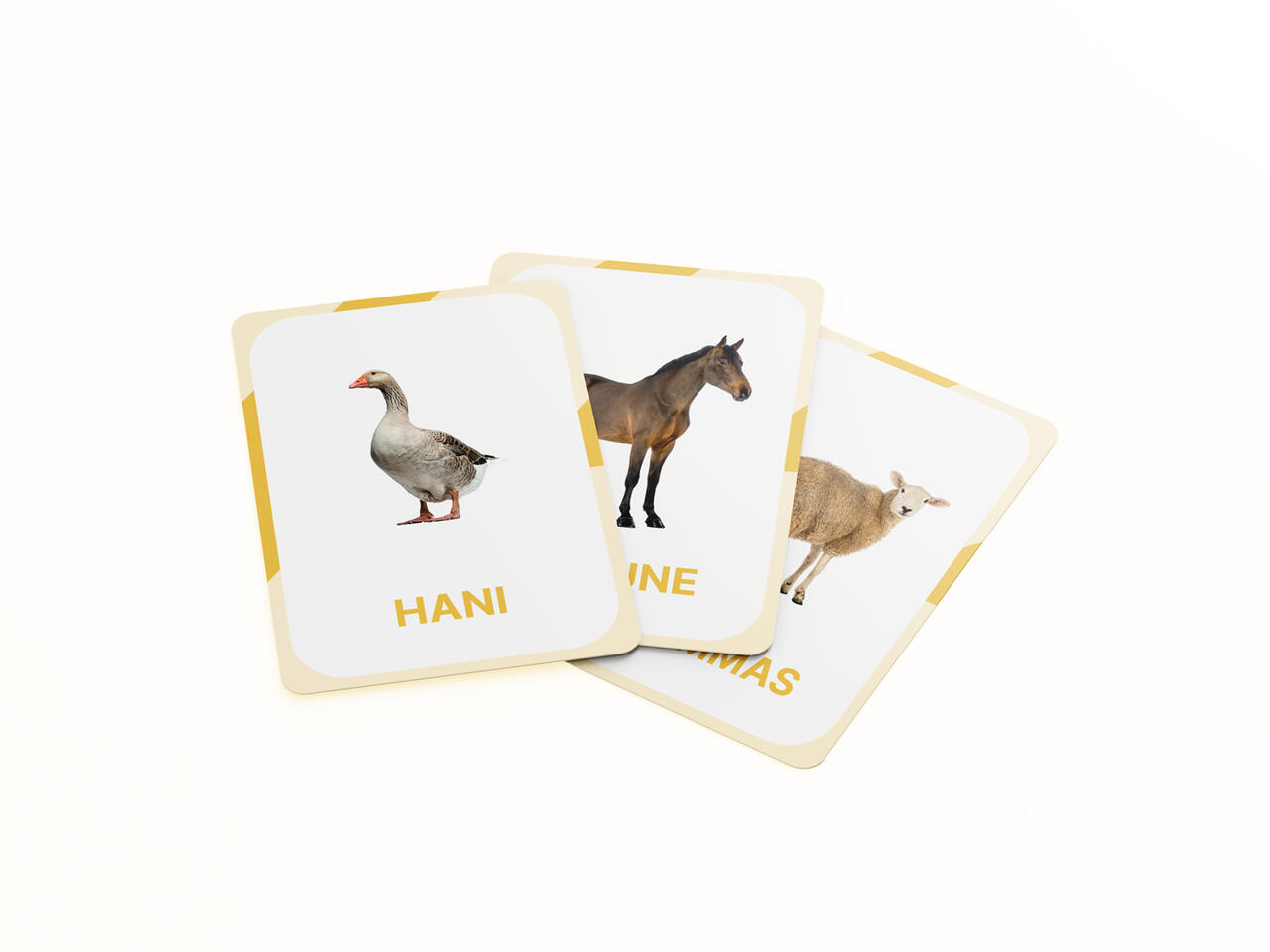 õppekaardid taluloomad koduloomad loodus loomad tegevuskaardid realistlikud õppekaardid taluloomad koduloomad loodus loomad tegevuskaardid realistlikud