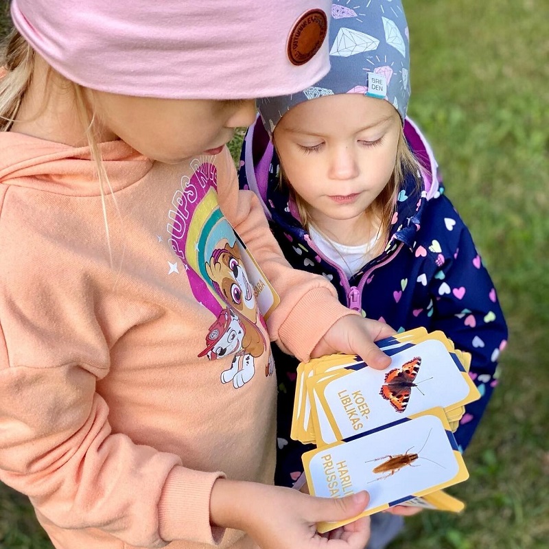 õppekaardid tegevuskaardid Eesti putukad putukakaardid õpime loodust