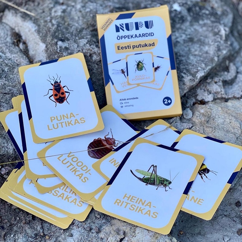 õppekaardid tegevuskaardid Eesti putukad putukakaardid õpime loodust