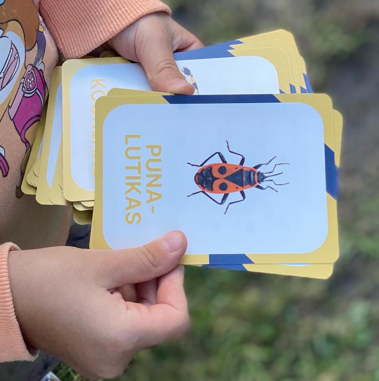 õppekaardid tegevuskaardid Eesti putukad putukakaardid õpime loodust