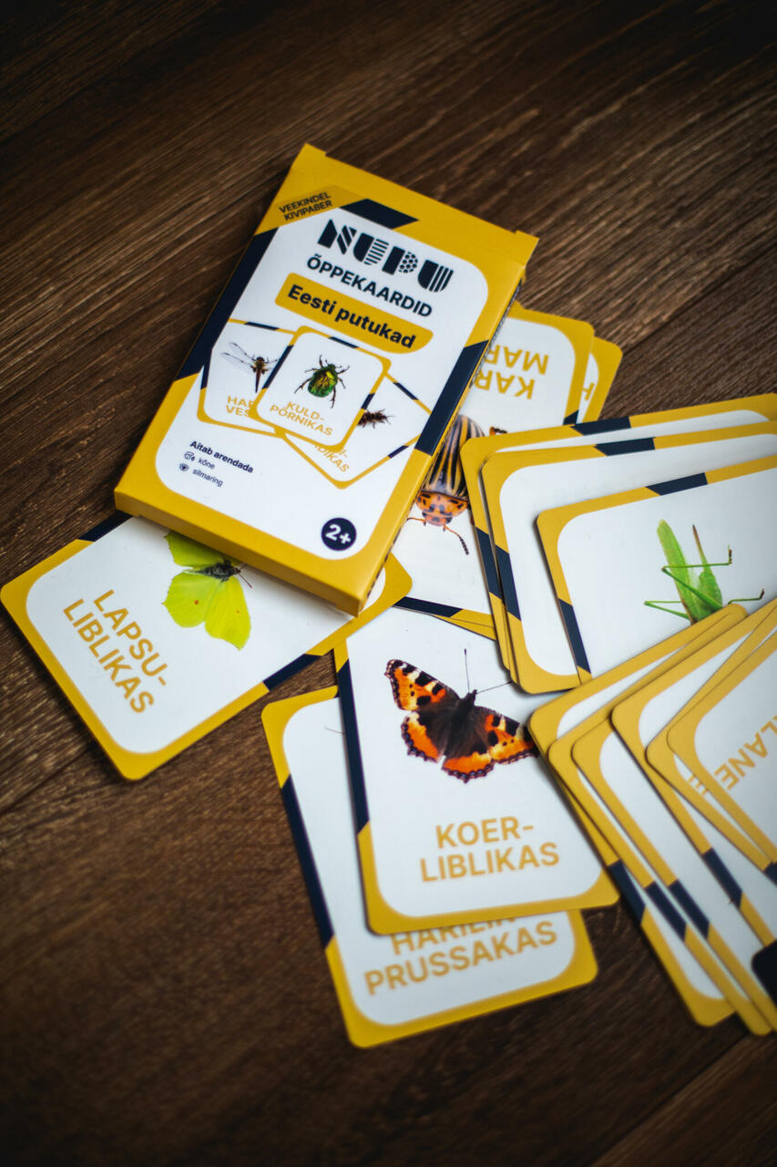 õppekaardid tegevuskaardid Eesti putukad putukakaardid õpime loodust