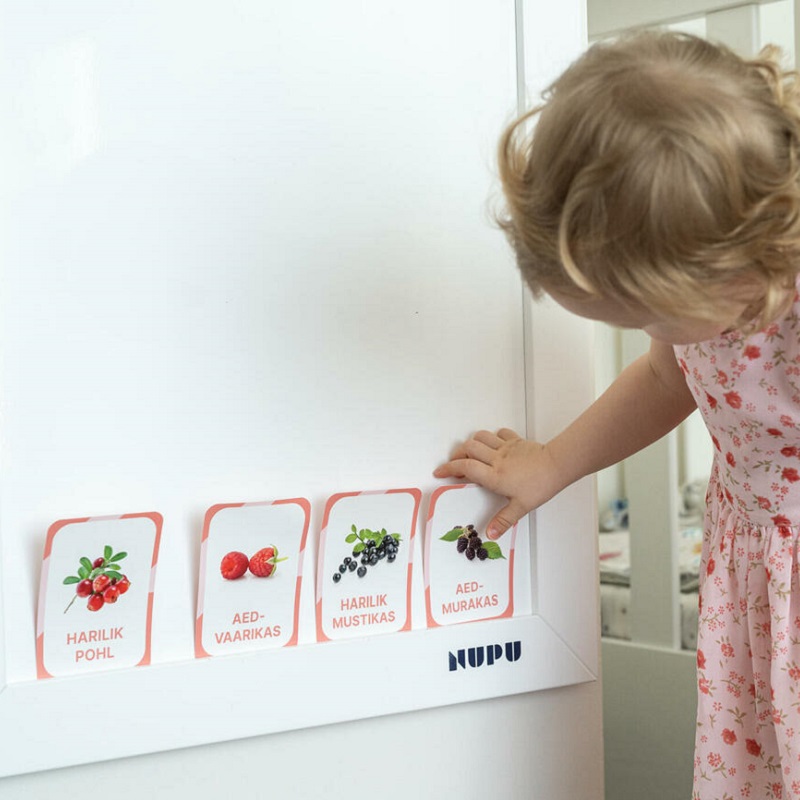 õppekaardid Eesti marjad puuviljad loodusõpe realistlikud pildid tegevuskaardid
