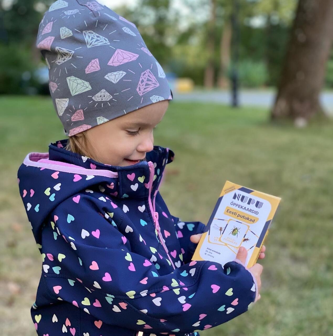 õppekaardid tegevuskaardid Eesti putukad putukakaardid õpime loodust