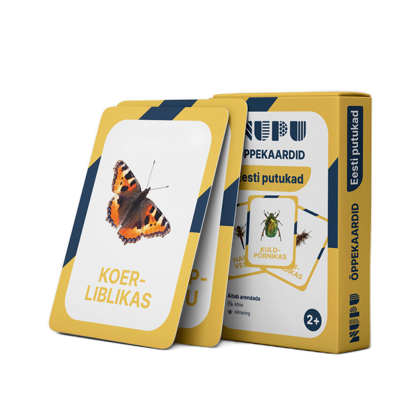 õppekaardid tegevuskaardid Eesti putukad putukakaardid õpime loodust