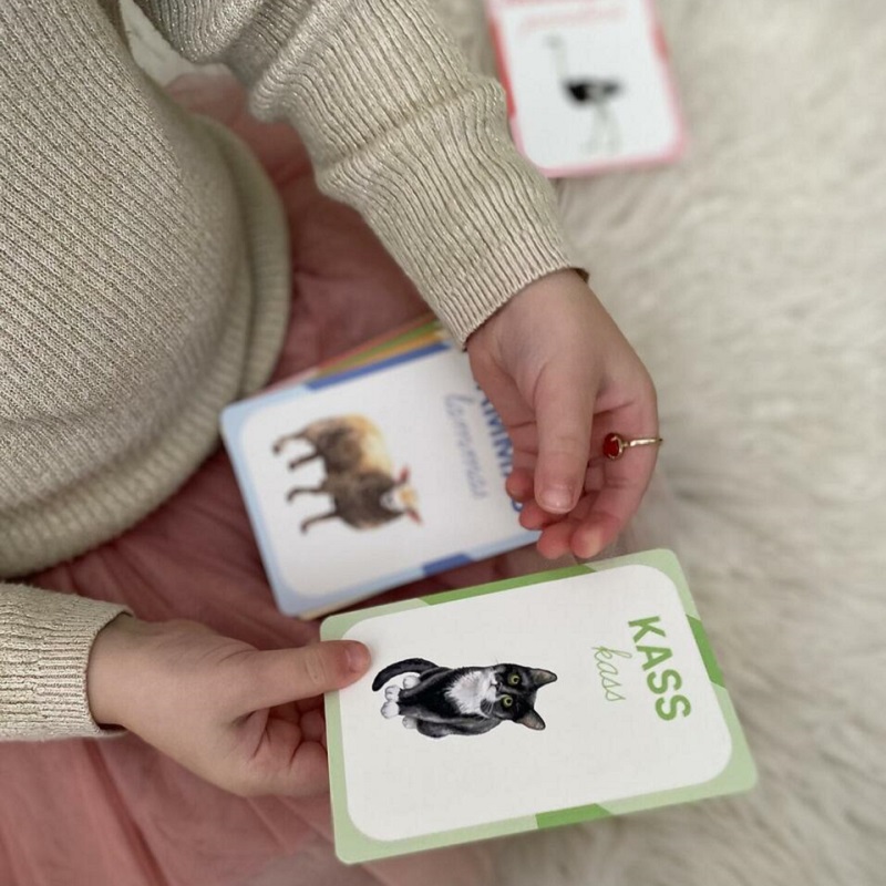 tähestik tähekaardid siduskiri lahus tähed õppekaardid mängukaardid