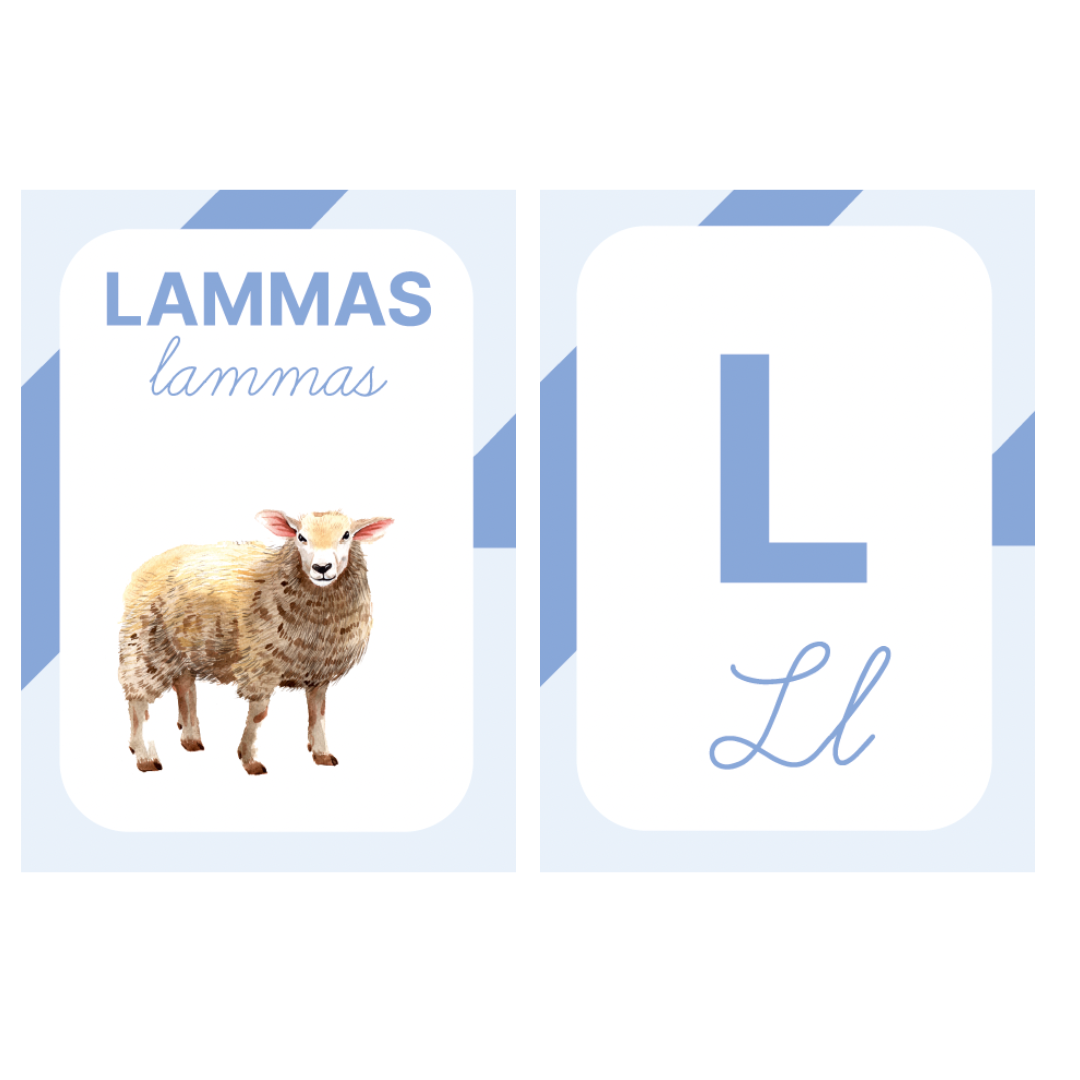 tähestik tähekaardid siduskiri lahus tähed õppekaardid mängukaardid