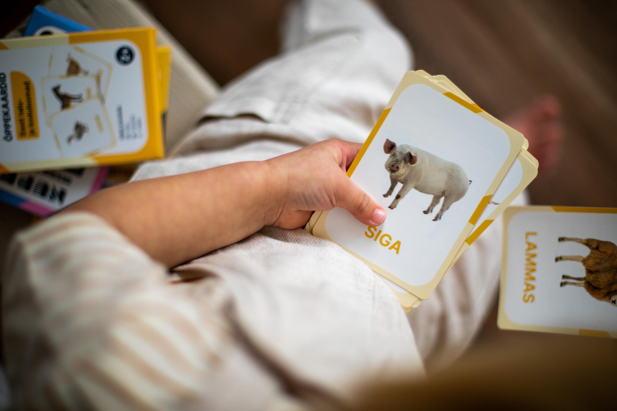 õppekaardid taluloomad koduloomad loodus loomad tegevuskaardid realistlikud õppekaardid taluloomad koduloomad loodus loomad tegevuskaardid realistlikud