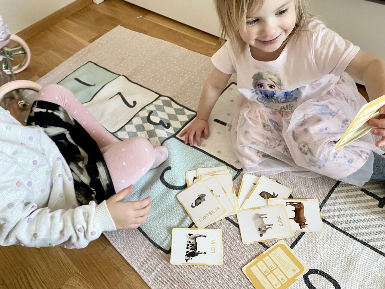 õppekaardid taluloomad koduloomad loodus loomad tegevuskaardid realistlikud õppekaardid taluloomad koduloomad loodus loomad tegevuskaardid realistlikud