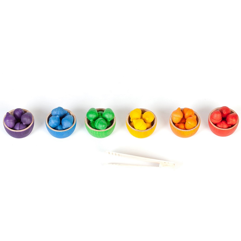 grapat puidust mänguasjad puidust mänguvahendid loovmäng vabamäng sorteerimismäng värvide õppimiseks näpitsat pintsetid