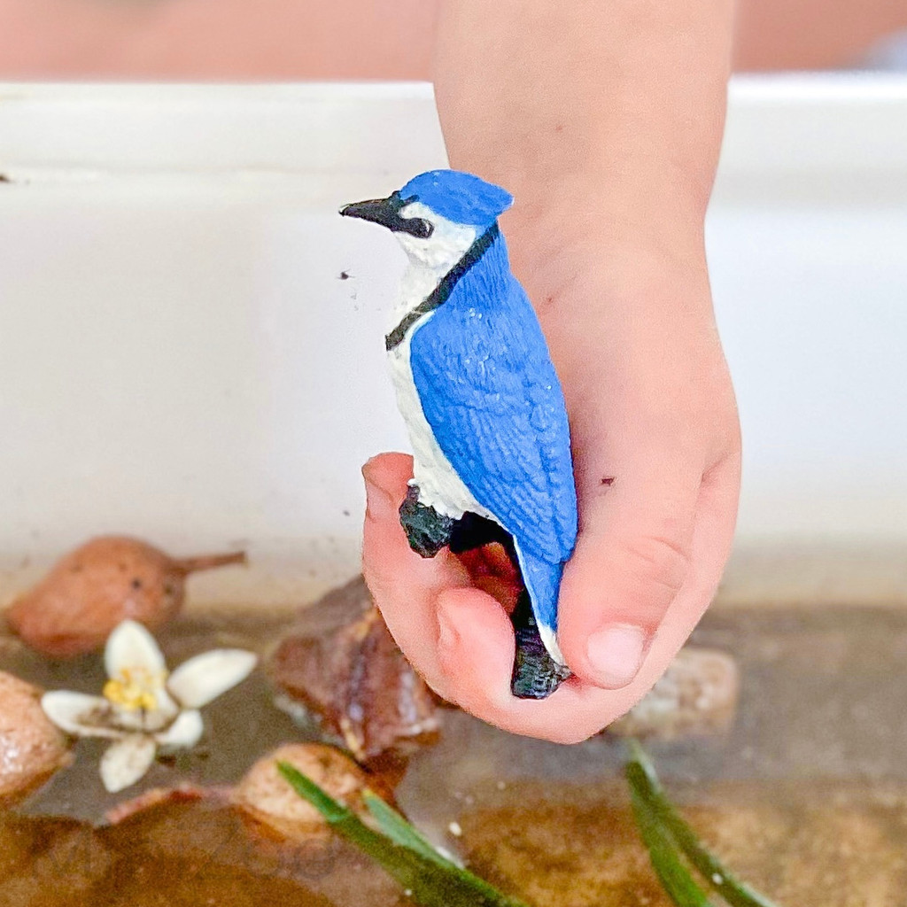 realistlike loomafiguuride komplekt aialinnud linnud lind linnukesed realistlikud linnufiguurid safari