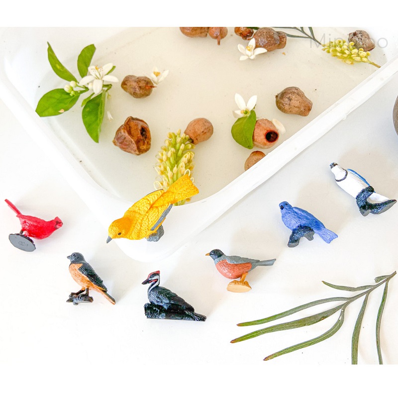 realistlike loomafiguuride komplekt aialinnud linnud lind linnukesed realistlikud linnufiguurid safari