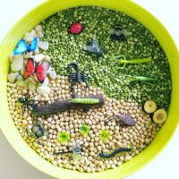 putukatega realistlike loomafiguuride komplekt liblikas kiil mesilane rohutirts