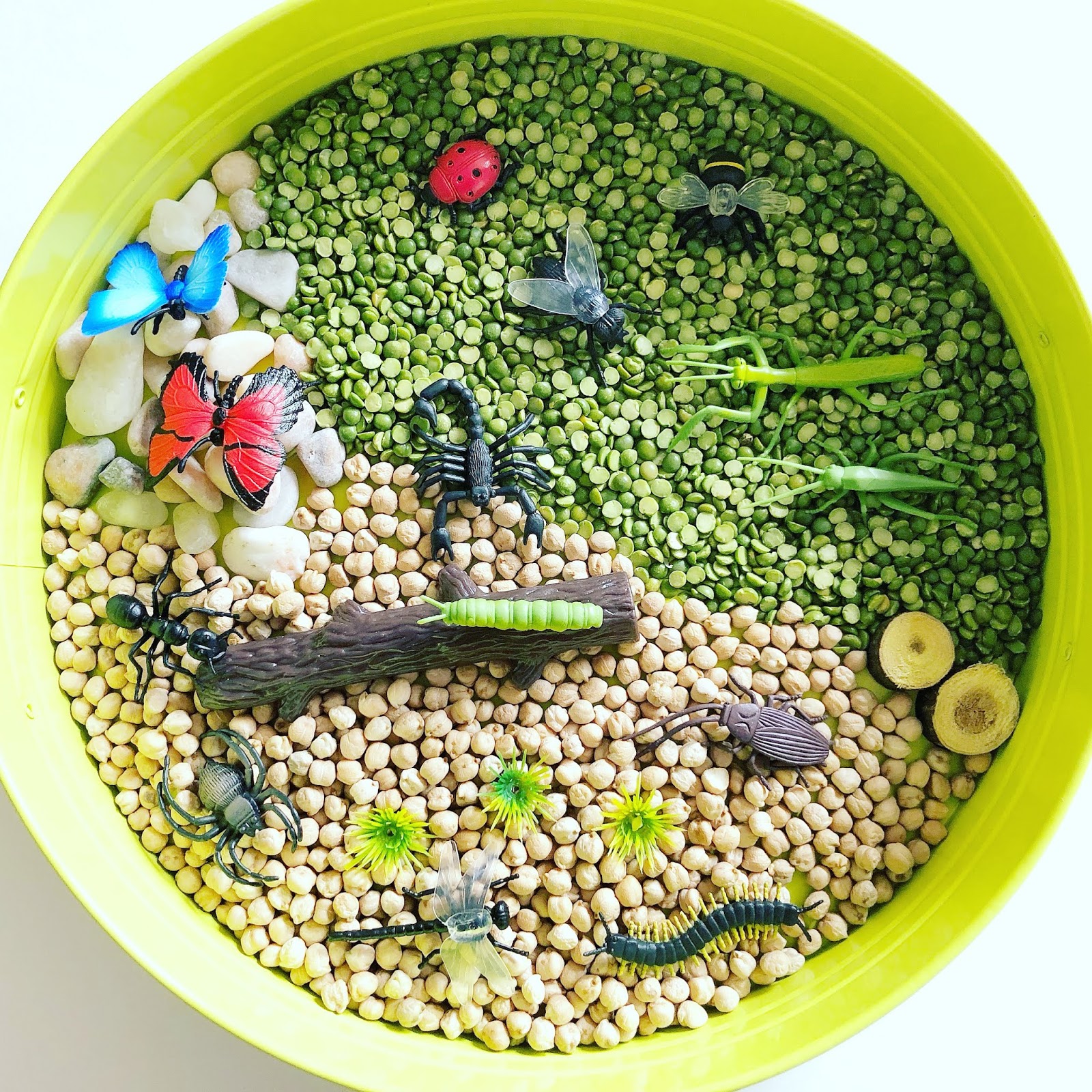 putukatega realistlike loomafiguuride komplekt liblikas kiil mesilane rohutirts