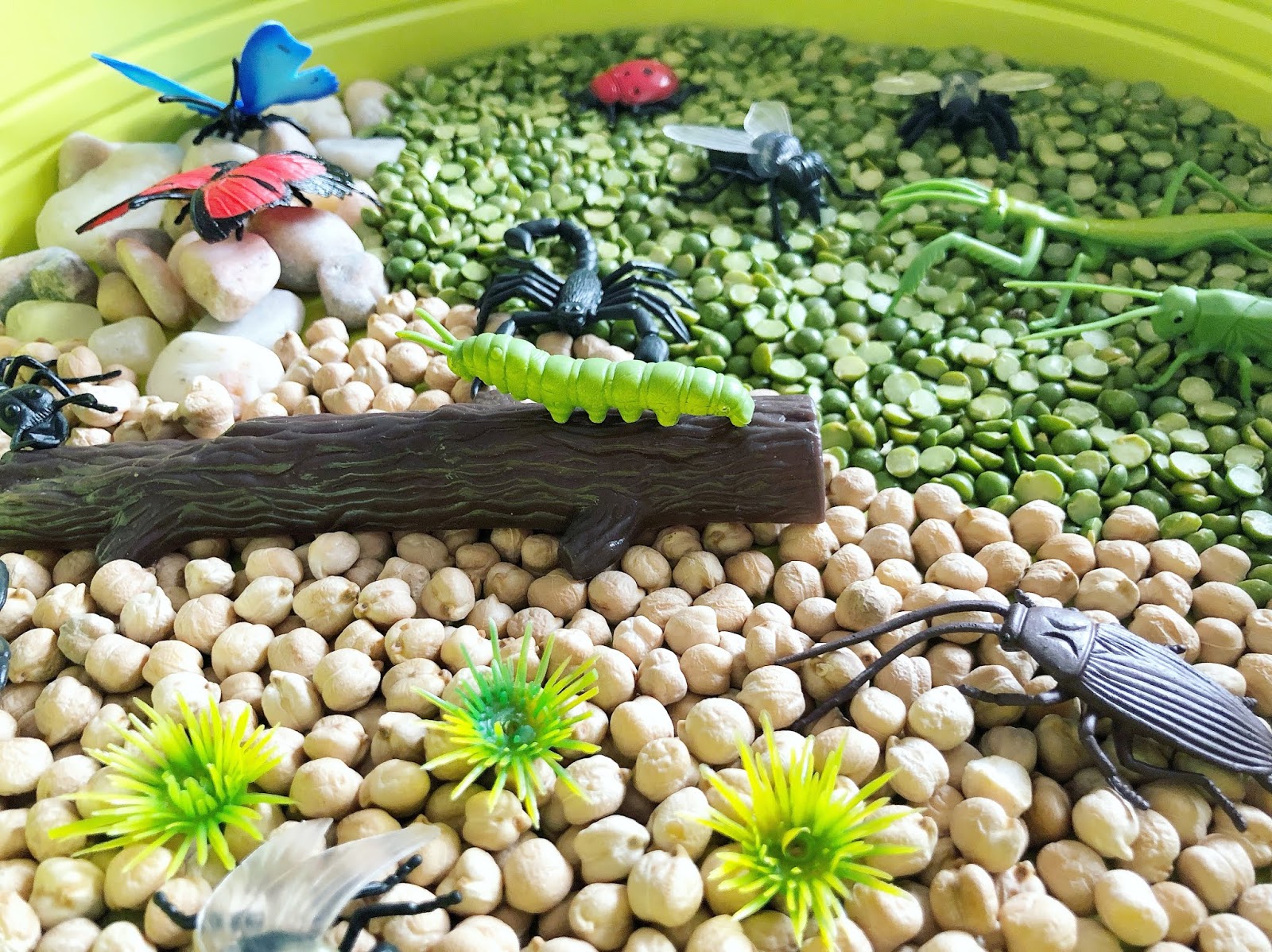 putukatega realistlike loomafiguuride komplekt liblikas kiil mesilane rohutirts