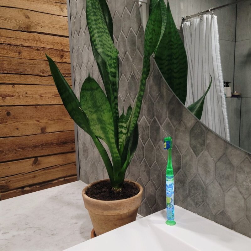 Vilkuv hambahari lastele