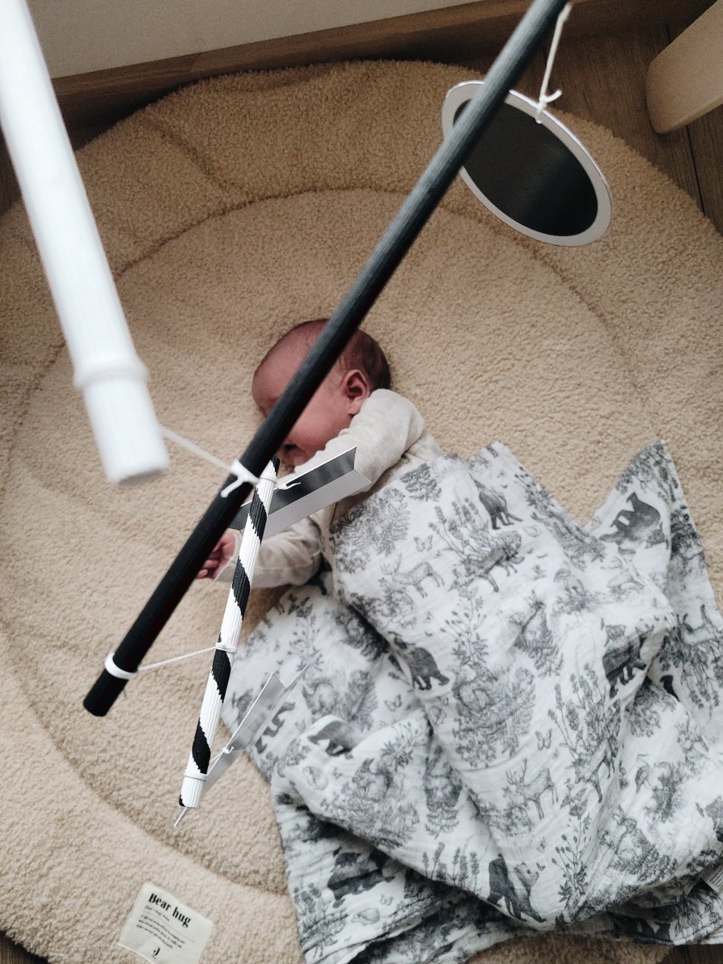 1000056377.jpg 1000056377.jpg