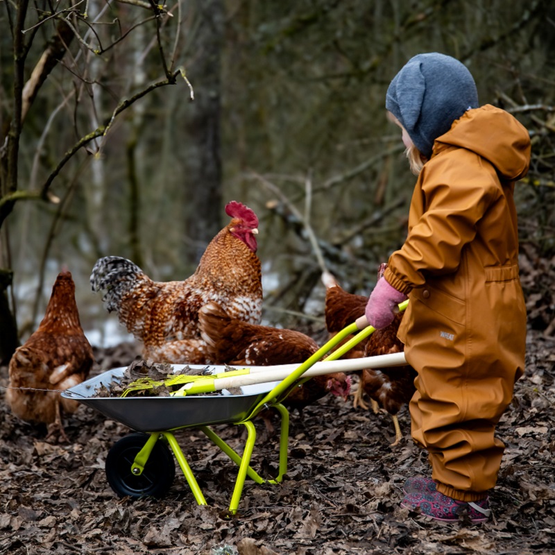 Nipid lapse iseseisvuse toetamiseks? 👦