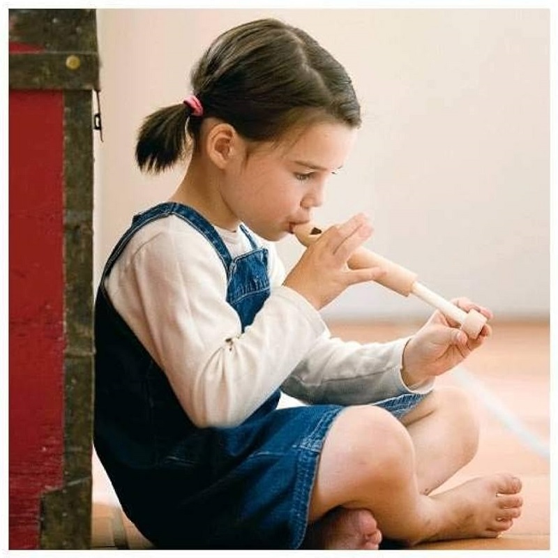 flööt muusika muusiriist pill