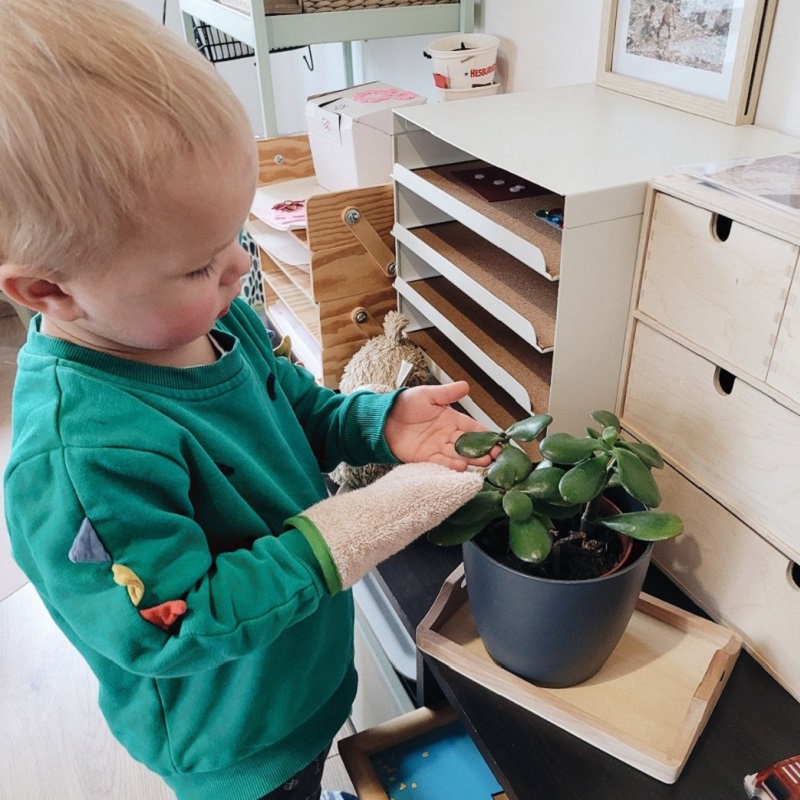 Montessori igapÀevaelu töövahendid pesukinnas kindad