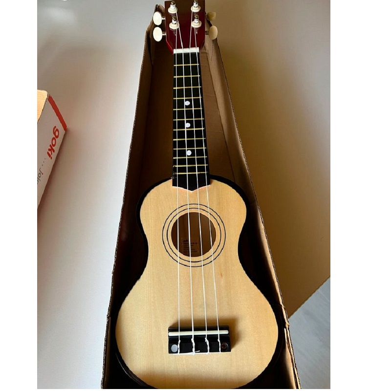 ukulele pill muusikariist muusikainstrument