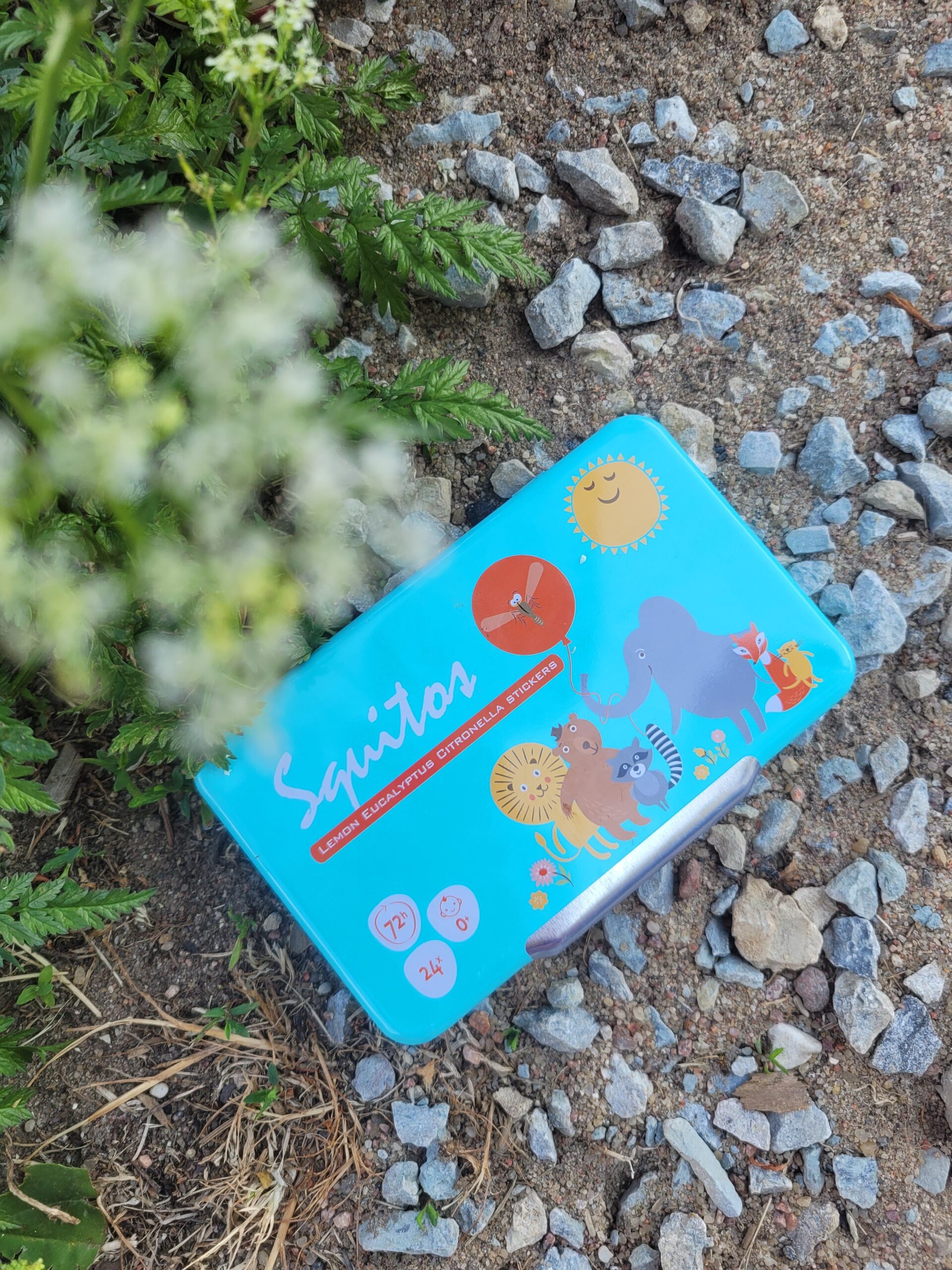 1000020832-scaled.jpg 1000020832-scaled.jpg