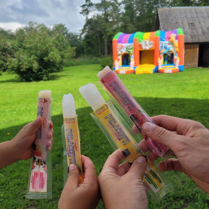 Orgaaniline mahlajäätis Polaretti - 10 tk